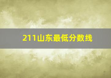 211山东最低分数线