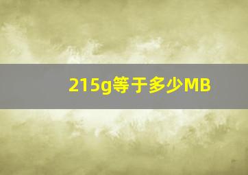 215g等于多少MB