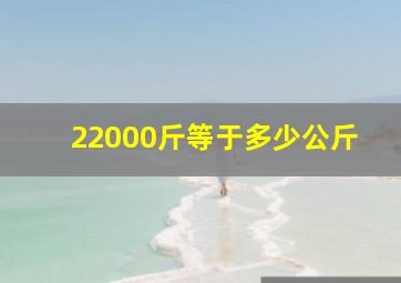 22000斤等于多少公斤