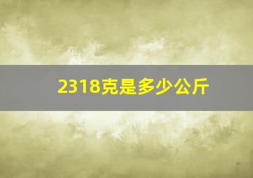 2318克是多少公斤