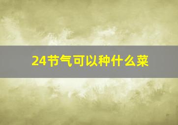 24节气可以种什么菜