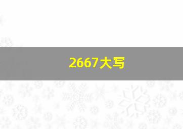 2667大写