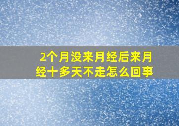 2个月没来月经后来月经十多天不走怎么回事