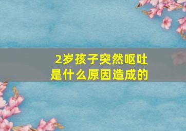 2岁孩子突然呕吐是什么原因造成的