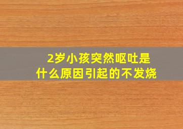 2岁小孩突然呕吐是什么原因引起的不发烧