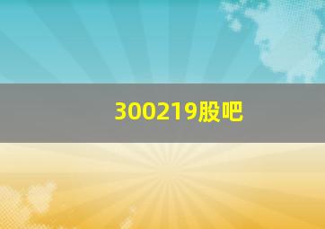 300219股吧