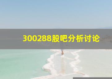 300288股吧分析讨论