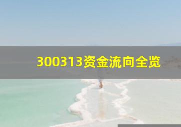 300313资金流向全览