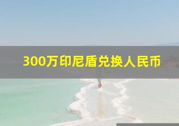 300万印尼盾兑换人民币