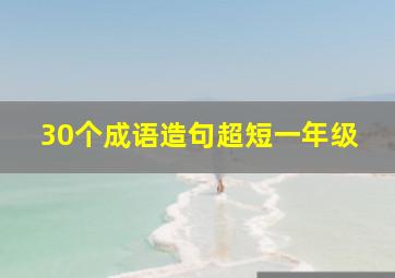 30个成语造句超短一年级