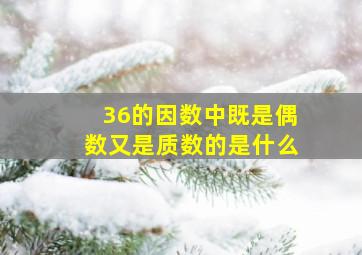 36的因数中既是偶数又是质数的是什么