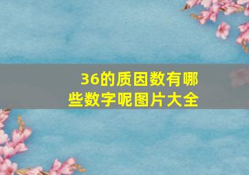 36的质因数有哪些数字呢图片大全