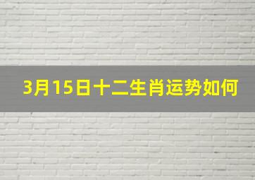 3月15日十二生肖运势如何