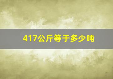 417公斤等于多少吨