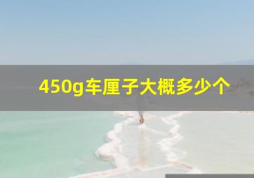 450g车厘子大概多少个