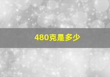 480克是多少