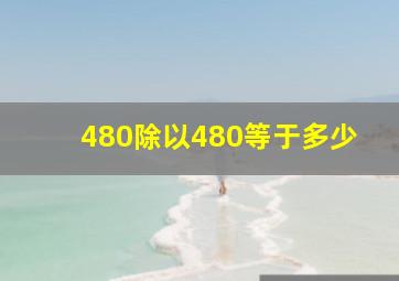 480除以480等于多少