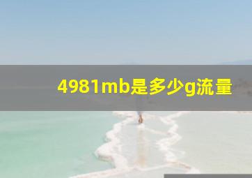 4981mb是多少g流量