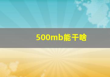 500mb能干啥