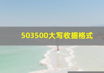 503500大写收据格式