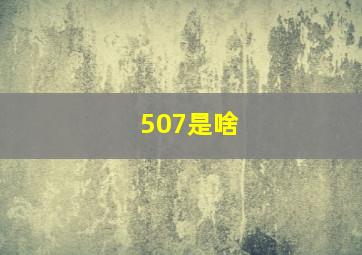 507是啥