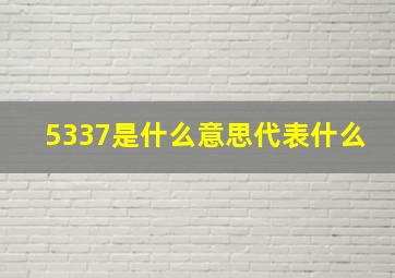 5337是什么意思代表什么