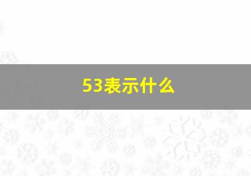 53表示什么