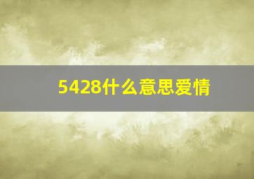 5428什么意思爱情