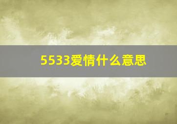 5533爱情什么意思