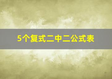 5个复式二中二公式表