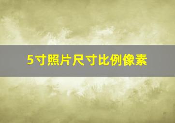 5寸照片尺寸比例像素