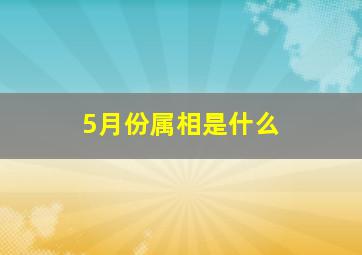 5月份属相是什么