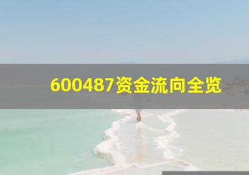 600487资金流向全览