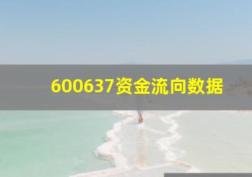 600637资金流向数据