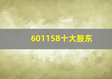 601158十大股东