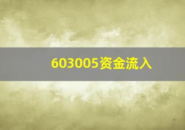 603005资金流入