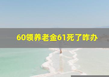 60领养老金61死了咋办