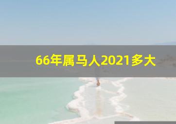 66年属马人2021多大