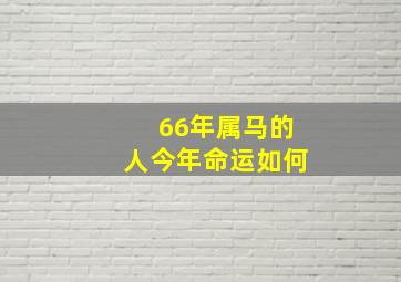 66年属马的人今年命运如何