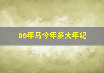 66年马今年多大年纪