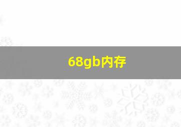 68gb内存