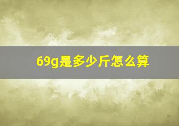 69g是多少斤怎么算