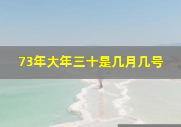 73年大年三十是几月几号