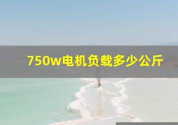 750w电机负载多少公斤