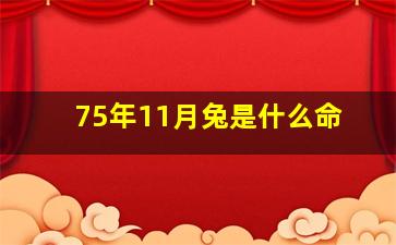 75年11月兔是什么命