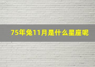 75年兔11月是什么星座呢