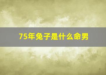 75年兔子是什么命男