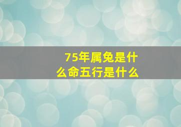 75年属兔是什么命五行是什么