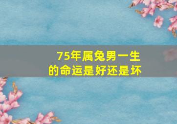 75年属兔男一生的命运是好还是坏