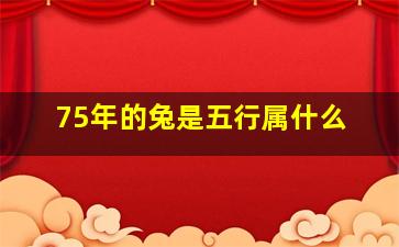 75年的兔是五行属什么